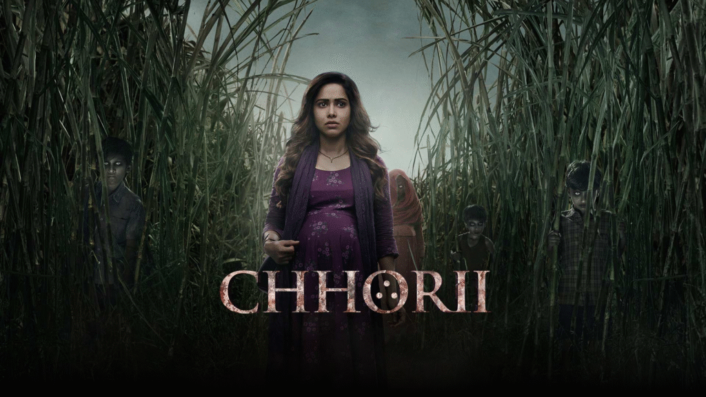 Top 10 Horror Movies in Bollywood 2025 Edition